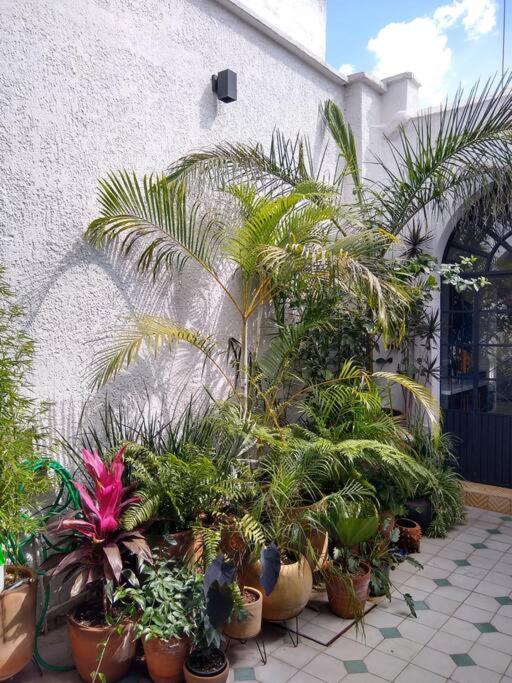 Casa Cuauhtemoc Villa Guadalajara Exterior photo