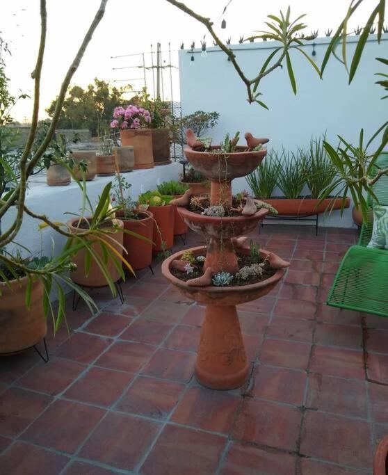 Casa Cuauhtemoc Villa Guadalajara Exterior photo
