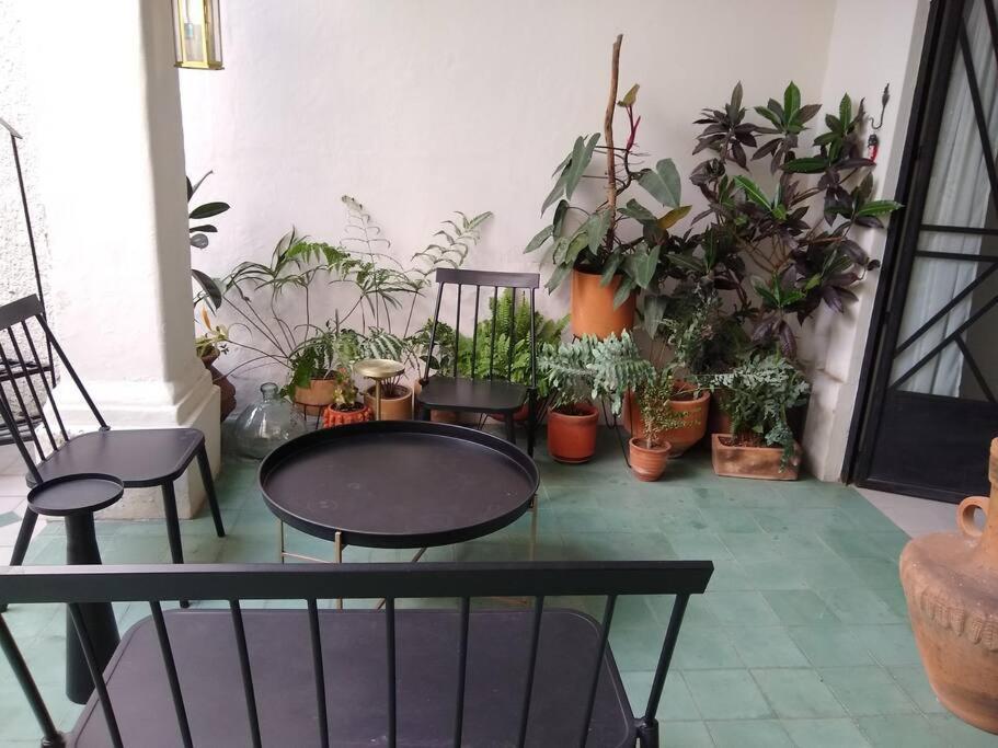 Casa Cuauhtemoc Villa Guadalajara Exterior photo